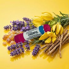 Load image into Gallery viewer, Botanical Inhalers | Lasts up to 3 Years: Pirate Oil
