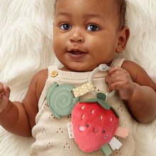 Load image into Gallery viewer, *New Options* Itzy Pal™ Plush + Teether: Avocado