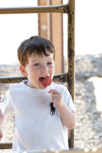 Load image into Gallery viewer, Nausea, Cough, Sore Throat, Allergy Lollipops; Honey & Fruit