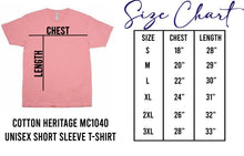 Load image into Gallery viewer, Principal- Grunge Back To School Tee: Medium
