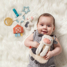 Load image into Gallery viewer, *NEW OPTION* Bitzy Busy Ring™ Teething Activity Toy: Veggie
